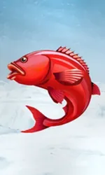 Ice Fishing